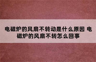 电磁炉的风扇不转动是什么原因 电磁炉的风扇不转怎么回事